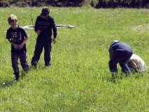 Foto-Galerie_bushcraft-sauerland_insekten-amphibien2_640x480