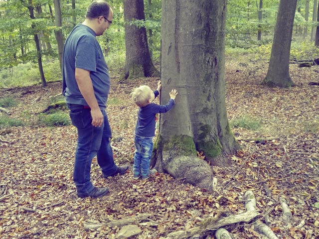 Kinder erobern den Wald